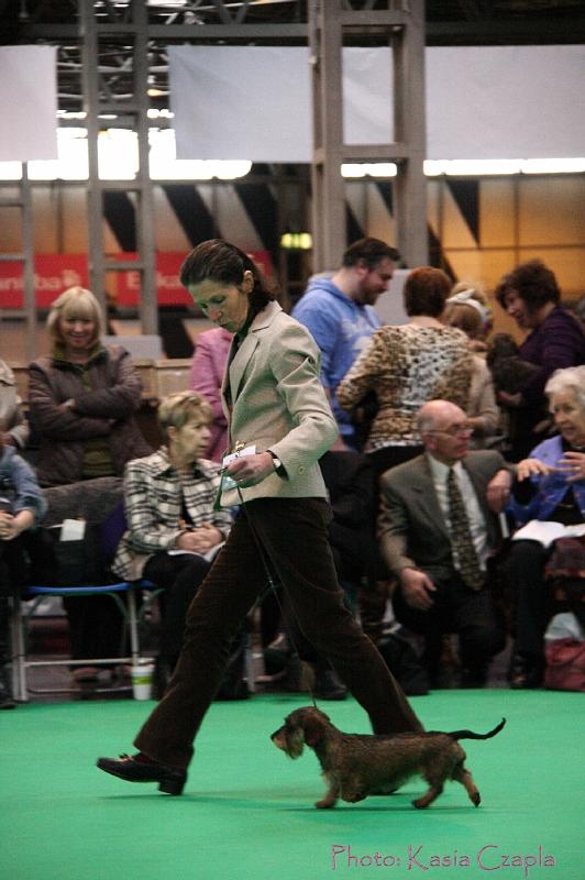 Crufts2011_2 1345.jpg